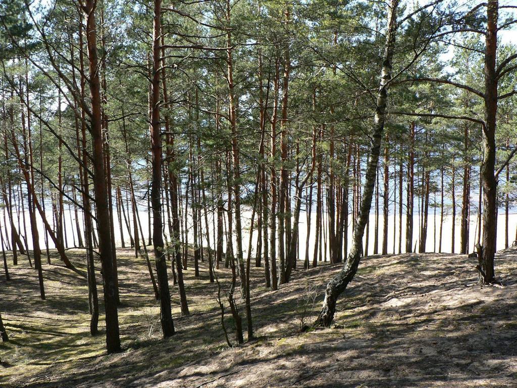 Krauklis Beach Apartments Saulkrasti Luaran gambar